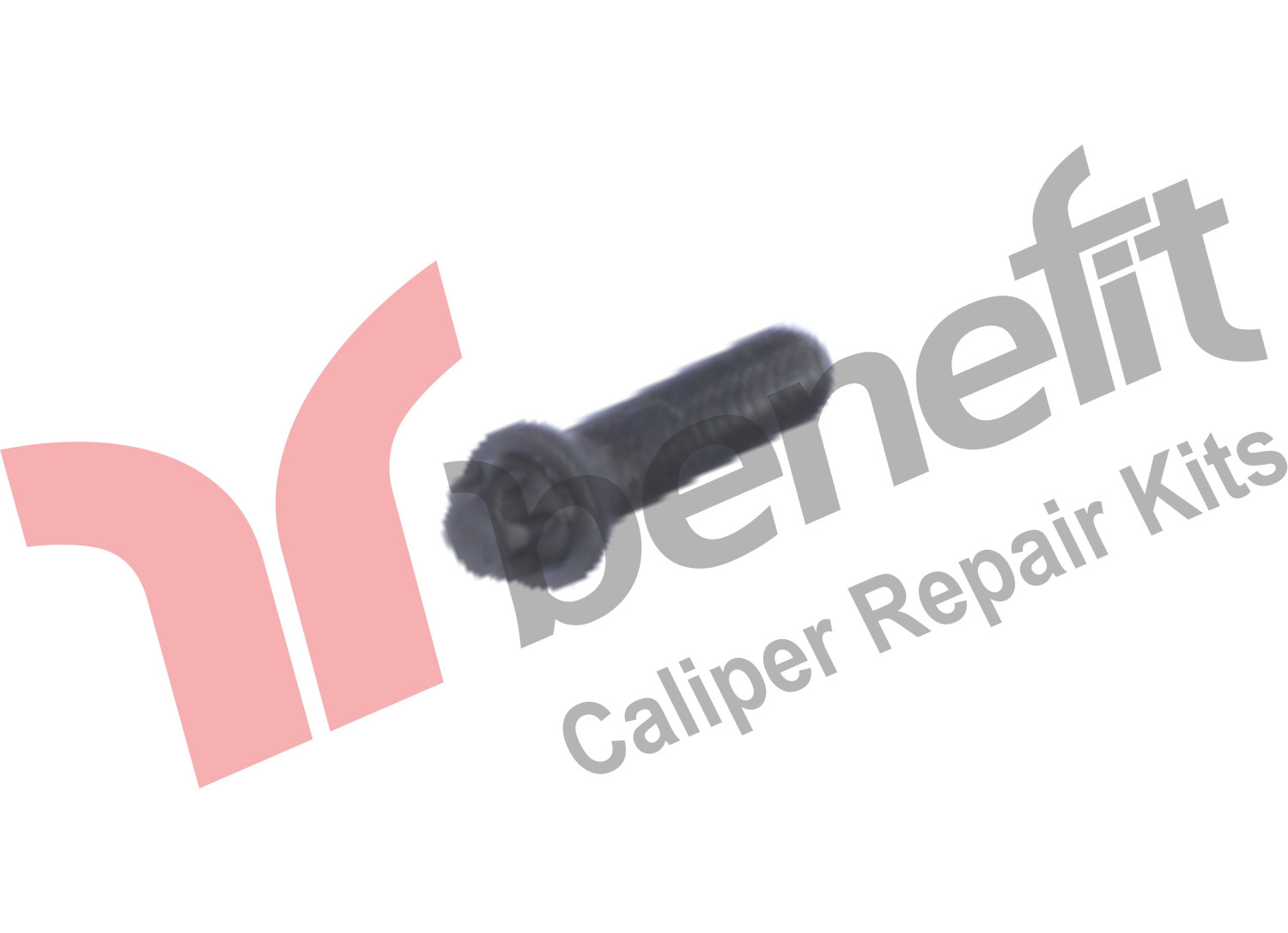 Болт кришки супорта WABCO 40mm./10x1 261108