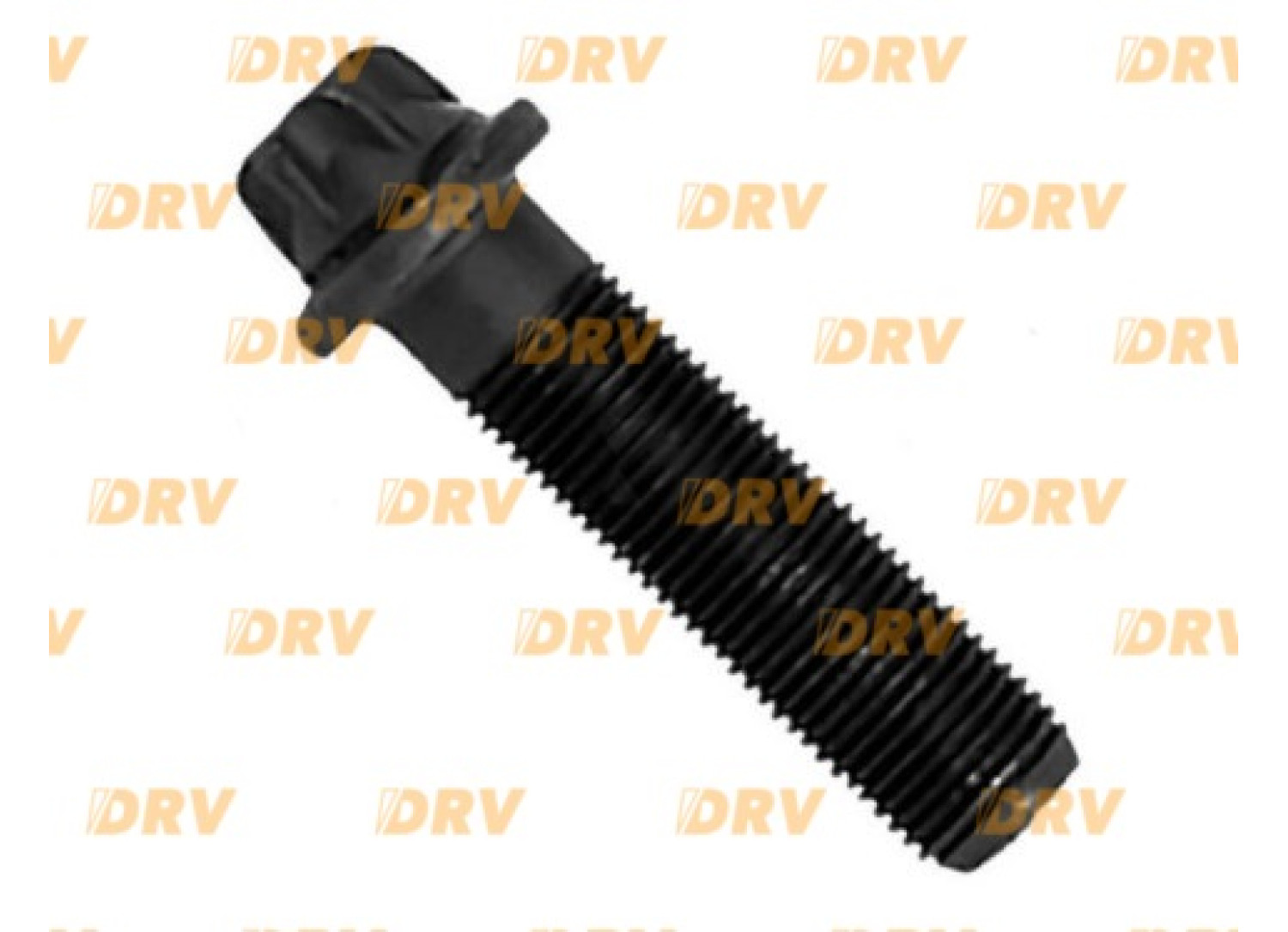 Болт кришки супорта WABCO 40mm./10x1 261108