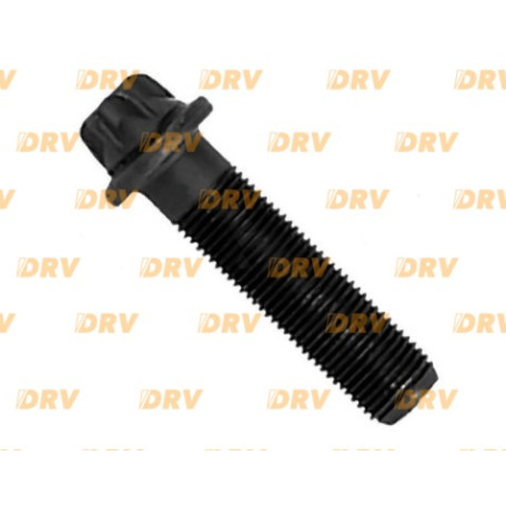 Болт кришки супорта WABCO 40mm./10x1 261108