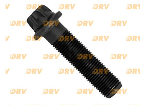 Болт кришки супорта WABCO 40mm./10x1 261108